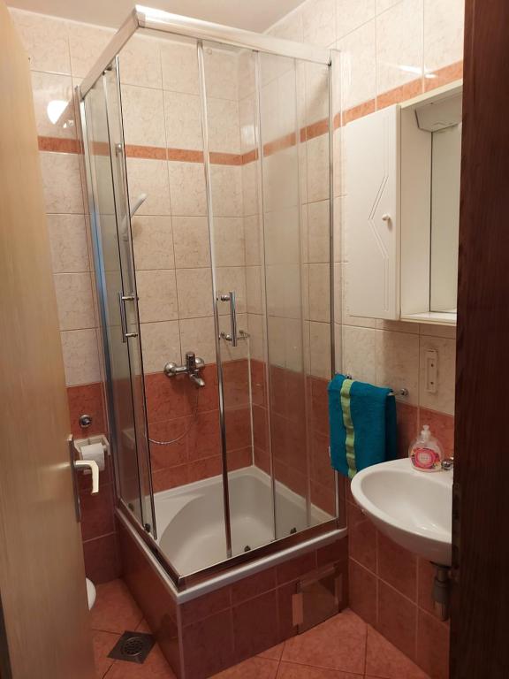 Koupelna v ubytování Apartmani Tatjana
