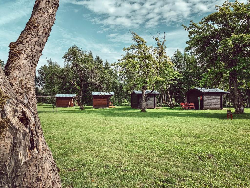 Zahrada ubytování Pruuli Puhkeküla