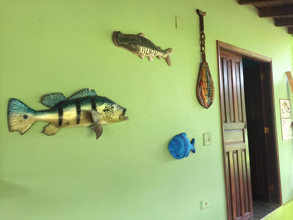  BassPavão Abrigo de Amigos