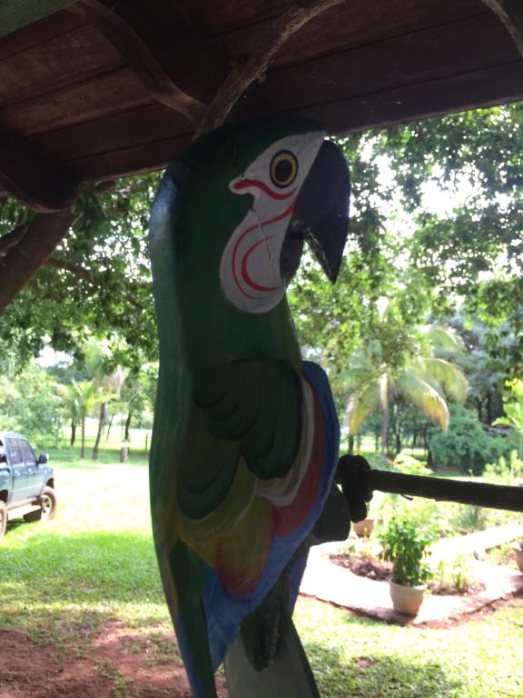  BassPavão Abrigo de Amigos