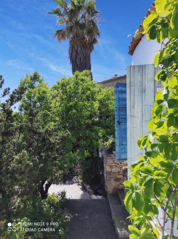 a palm tree in front of a house with a gate at Getaway house Gundula in Podstražje