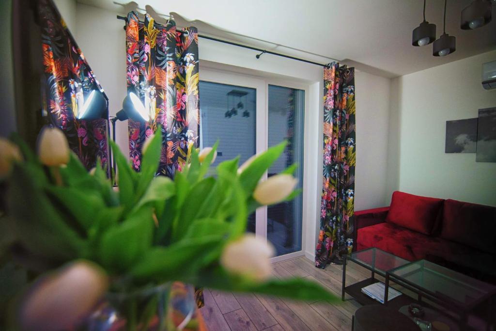 Blue Sky - Apartamenty Premium Zator - 4