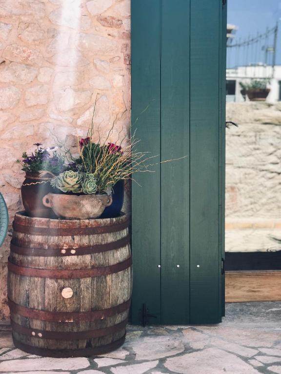 Fotografie z fotogalerie ubytování House of Milka v destinaci Zadar