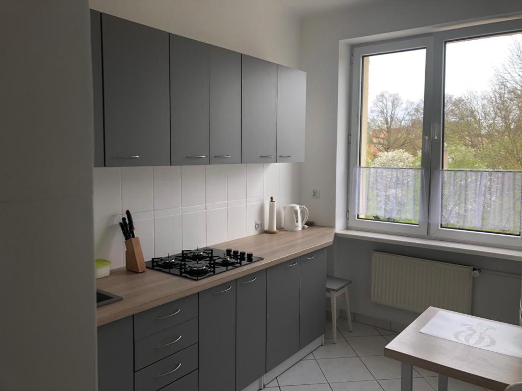 uma cozinha com armários cinzentos e um forno com placa de fogão em Apartament Roma Gizycko em Giżycko