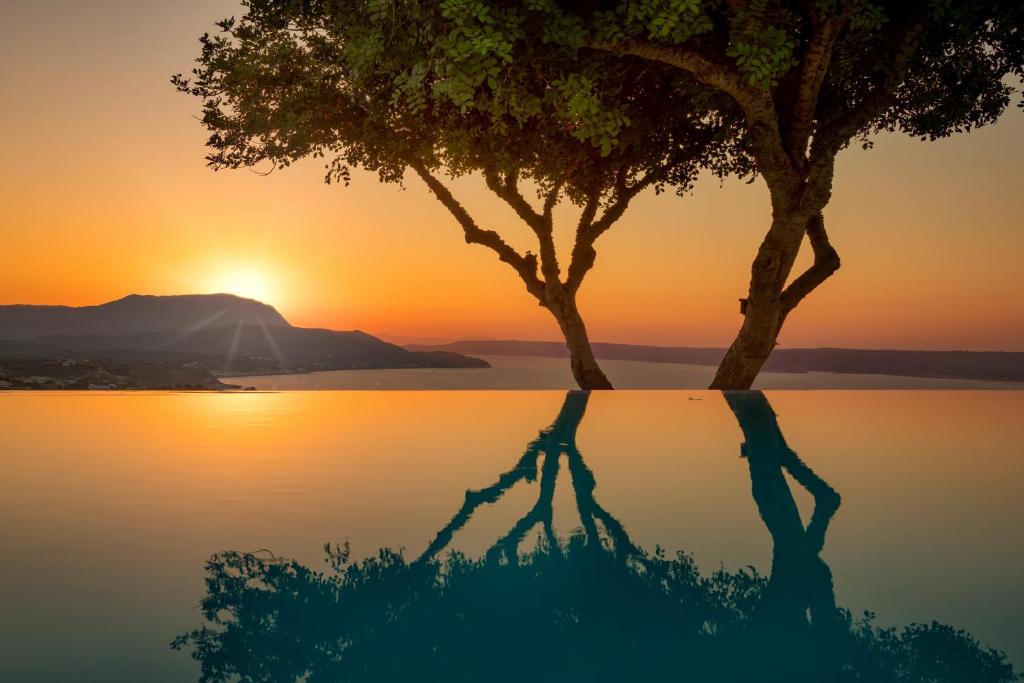 a tree and its reflection in the water at sunset at Daedalos Villa in Plaka