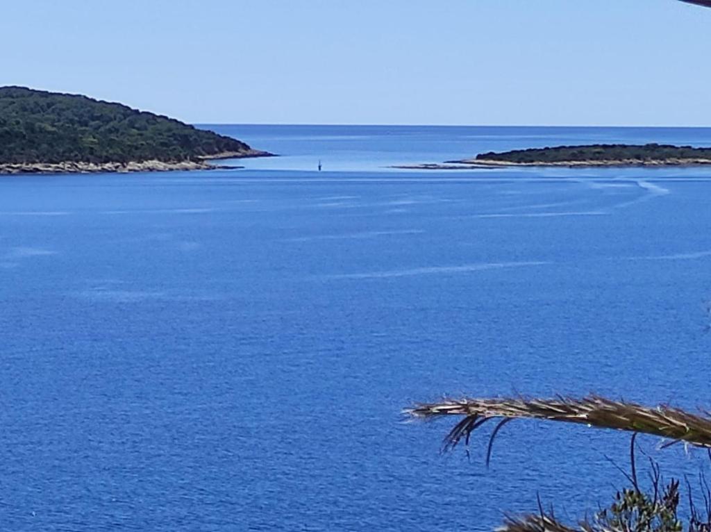 a large body of blue water with a person in the distance at Getaway house Gundula in Podstražje