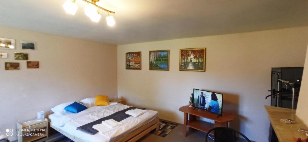 1 dormitorio con 1 cama y 1 mesa con TV en Domek w Ćmińsku, en Miedziana Góra