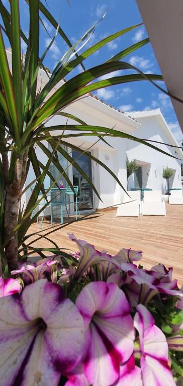 Sandra Rooms - Resim 8