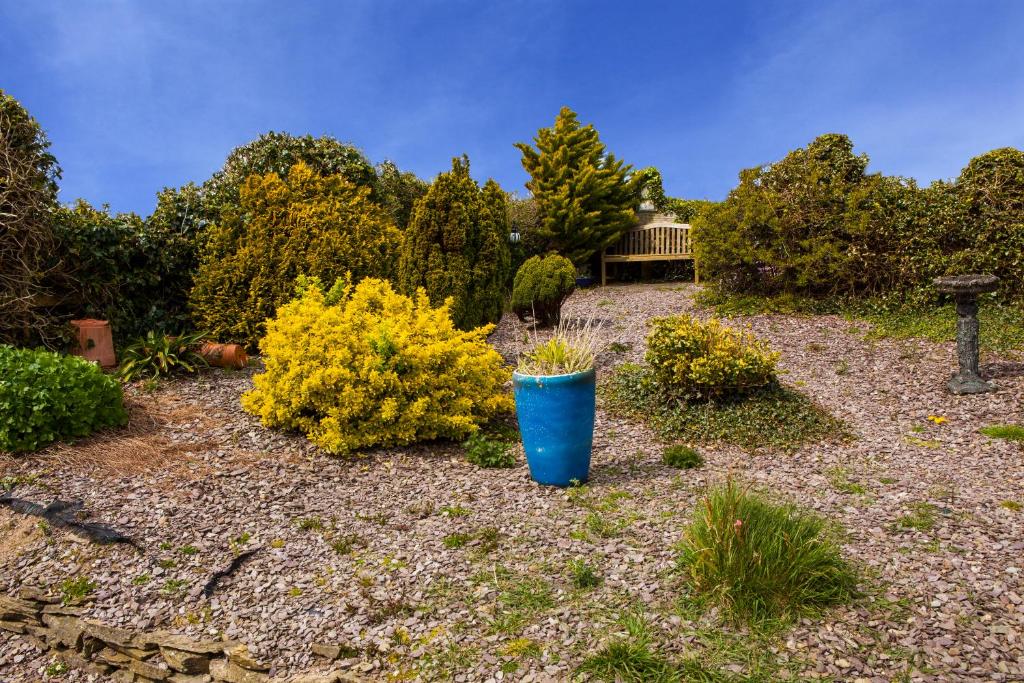 Sunville Bed And Breakfast - Chambre Double Ou Lits Jumeaux De Luxe