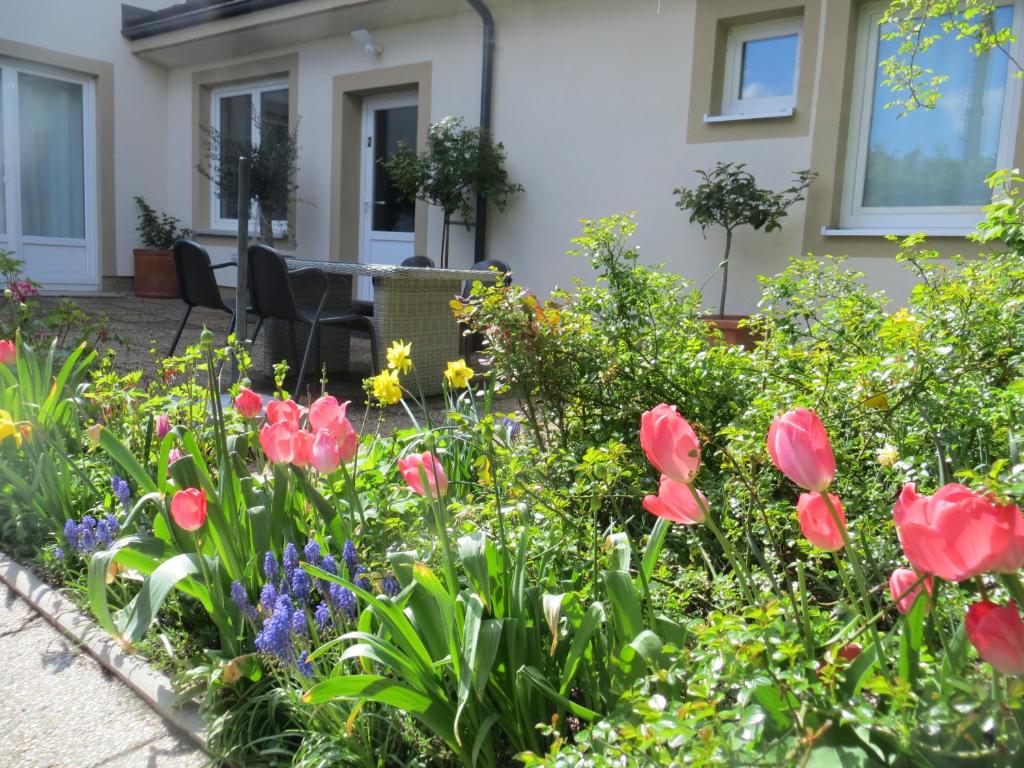 A garden outside City Apartment Amadeus