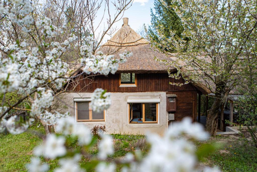 een klein huis met witte bloemen ervoor bij Zöld Sziget Vendégház in Balatonkenese