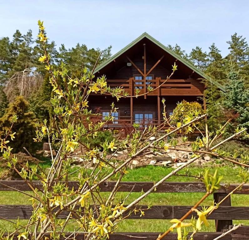 una cabaña de madera en medio de un bosque en Dom Na Wzgórzu 479, The House on the hill en Sułkowice
