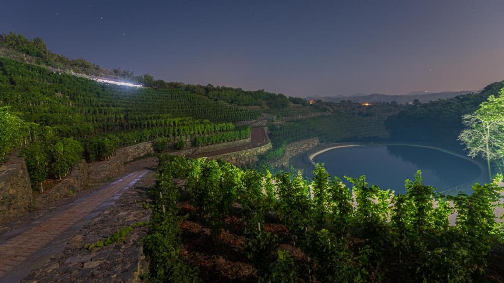 uitzicht op een wijngaard en een meer in de nacht bij La Gelsomina - Etna in Presa