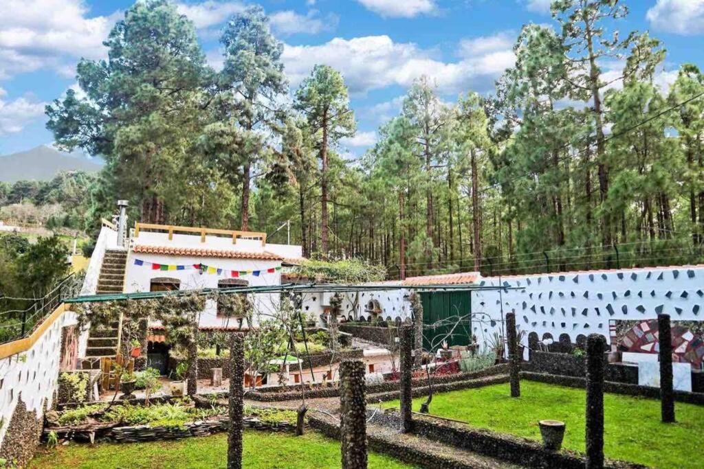 a garden in front of a house with trees at La Casa Encantada del Bosque in Icod de los Vinos