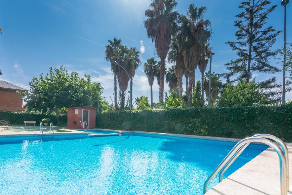 皮內達德馬爾的住宿－HomeHolidaysRentals Amaral，一座棕榈树环绕的游泳池