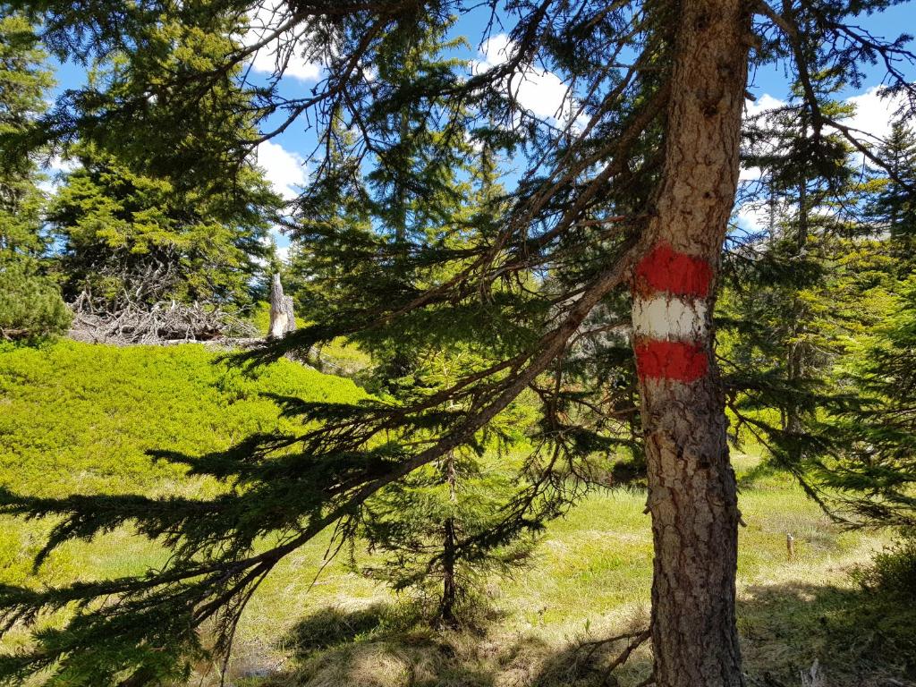 Príroda v okolí apartmánu