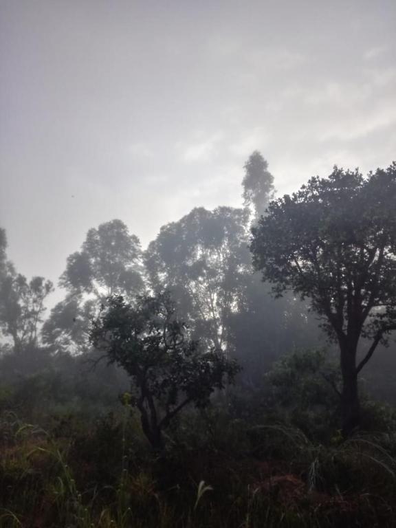  Hostel e camping são Miguel