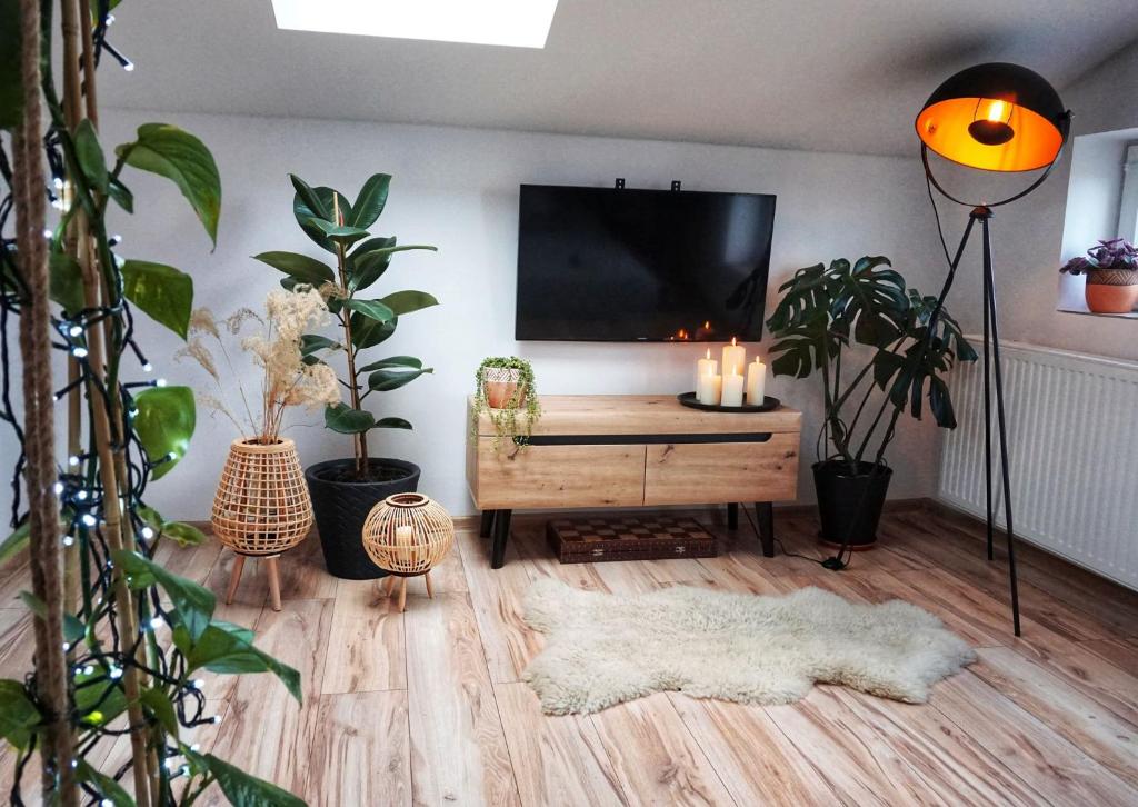 uma sala de estar com uma televisão de ecrã plano e plantas em Loft Żuławy, apartament na wyłączność em Nowy Dwór Gdański