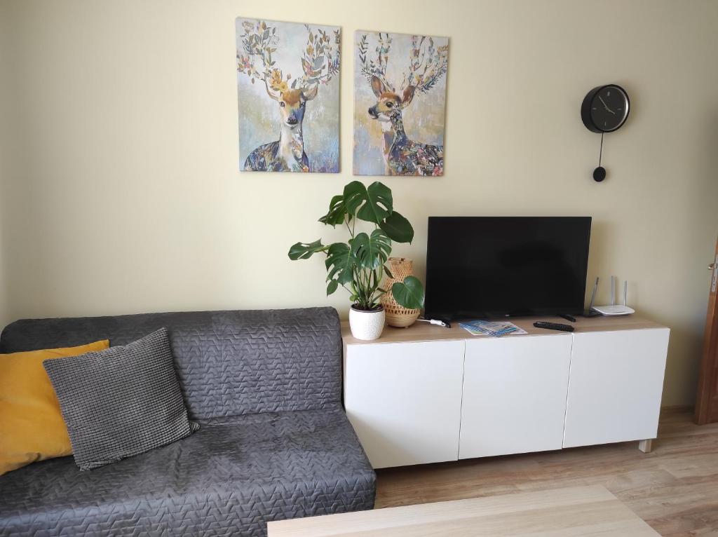 uma sala de estar com um sofá e uma televisão de ecrã plano em Apartment Paula em Saldus
