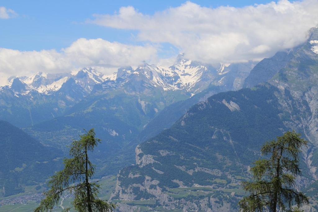 Mélèzes S 023- SKI LIFT apartment 6 pers - Resim 17