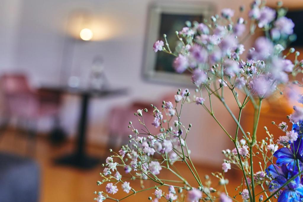 TV a/nebo společenská místnost v ubytování Boutiquehotel Liebesglück - adults only