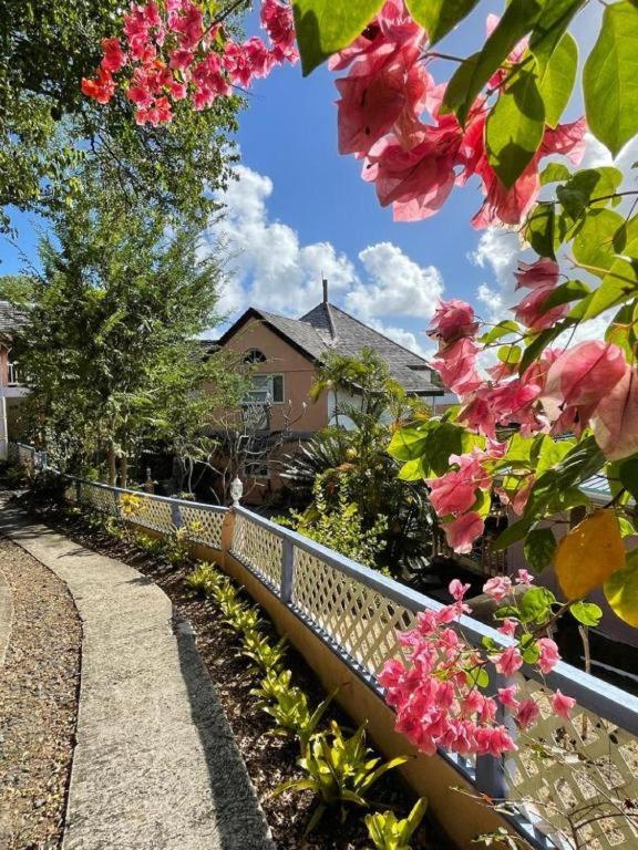 Zahrada ubytování Villa Caribbean Dream
