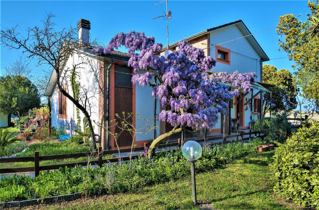 Vonkajšia záhrada v ubytovaní B&B La mia Oasi
