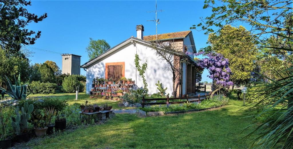 Vonkajšia záhrada v ubytovaní B&B La mia Oasi