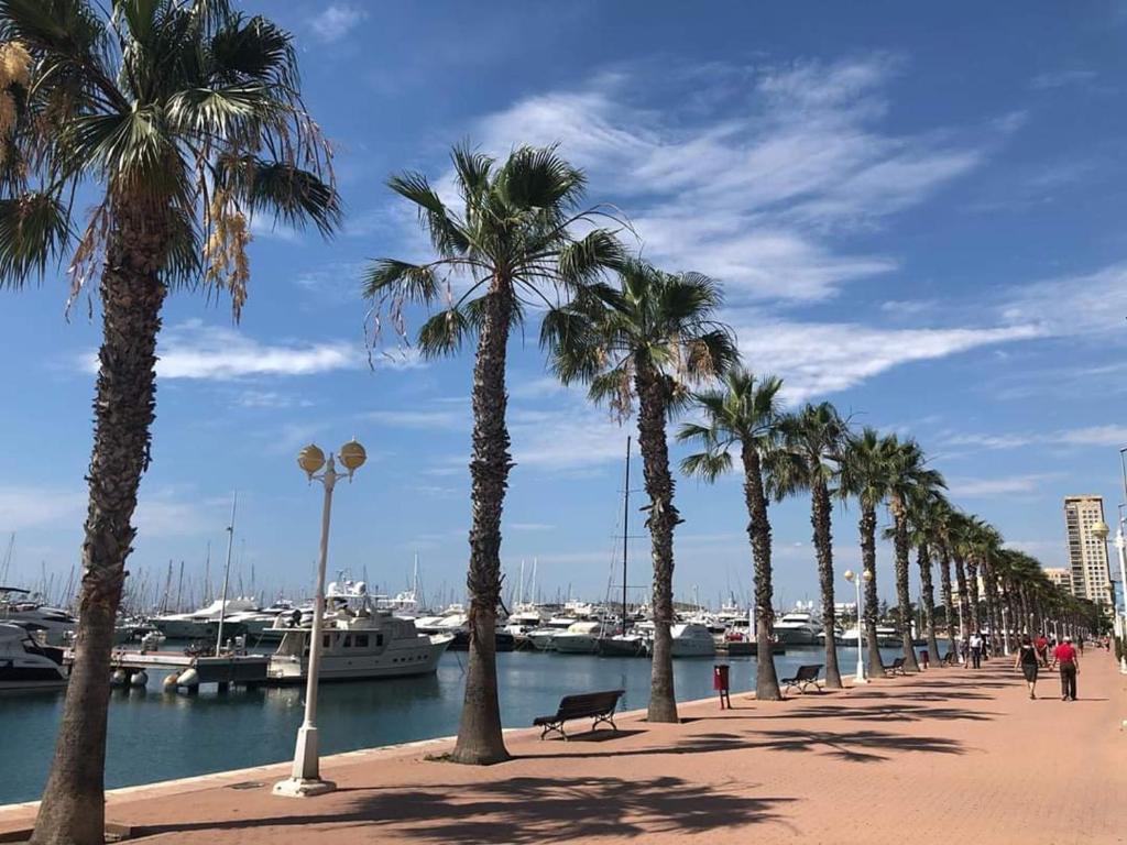 CasaTuris Rambla Méndez Núñez en el corazón de Alicante A109 ...