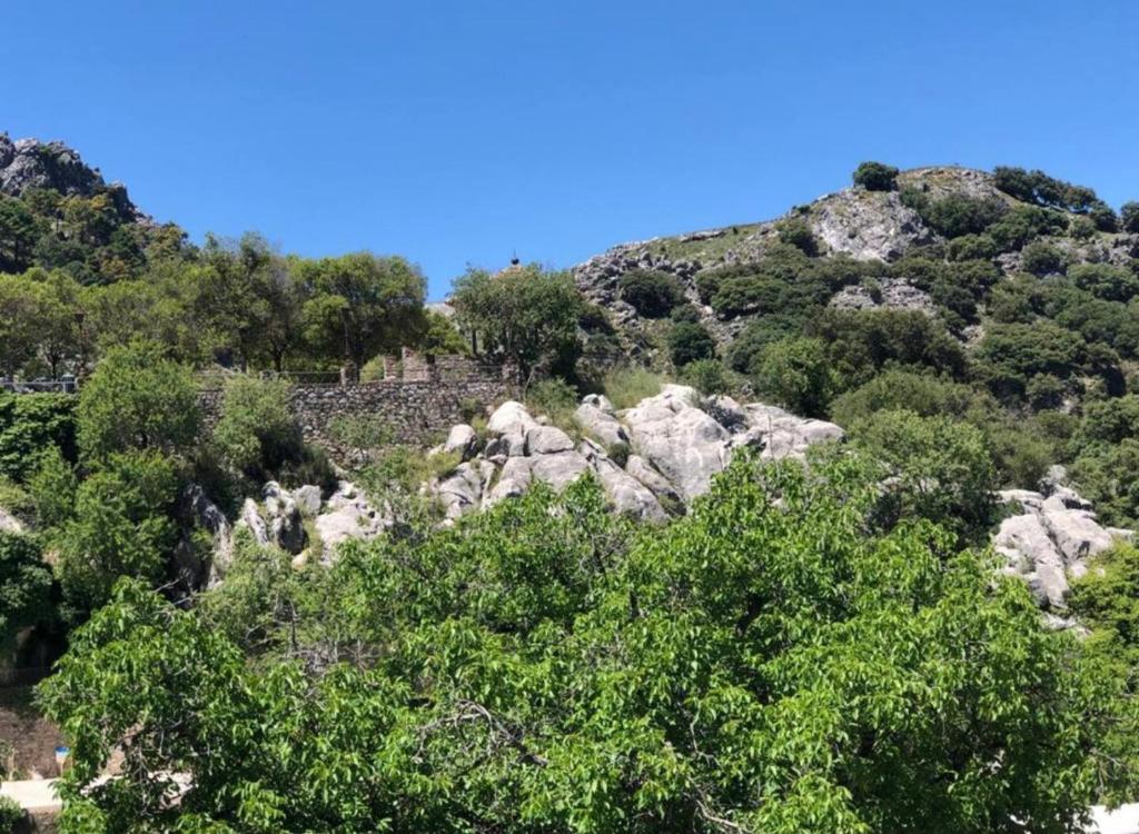 a mountain with rocks and trees on it at Apartamento El Jazmín in Grazalema