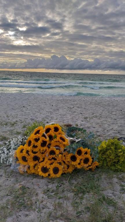  Suite temporada em Arraial do Cabo