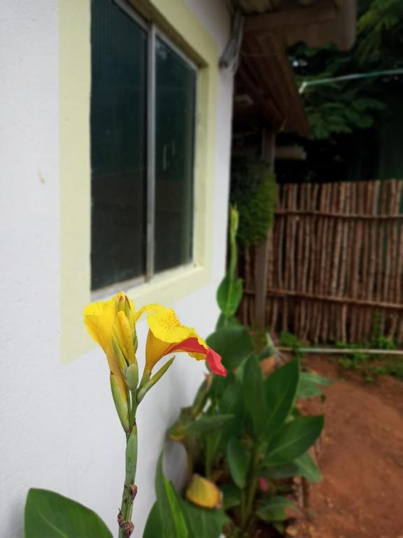  Noronha Quartos Guest House