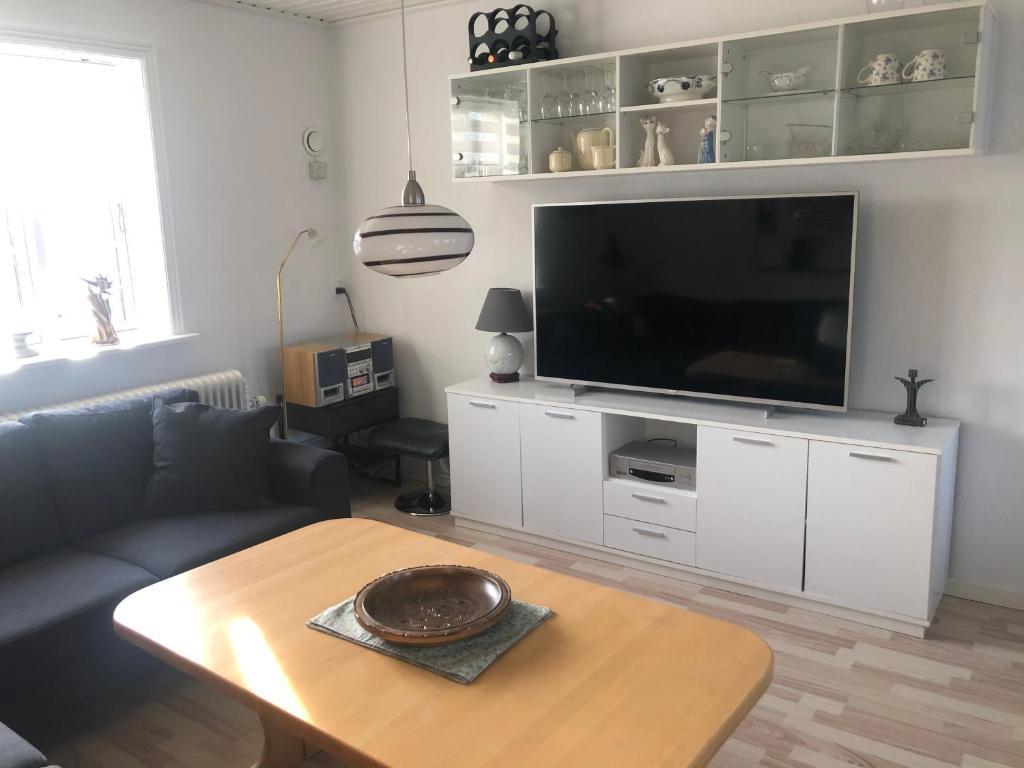 TV a/nebo společenská místnost v ubytování BrusaaUdlejning