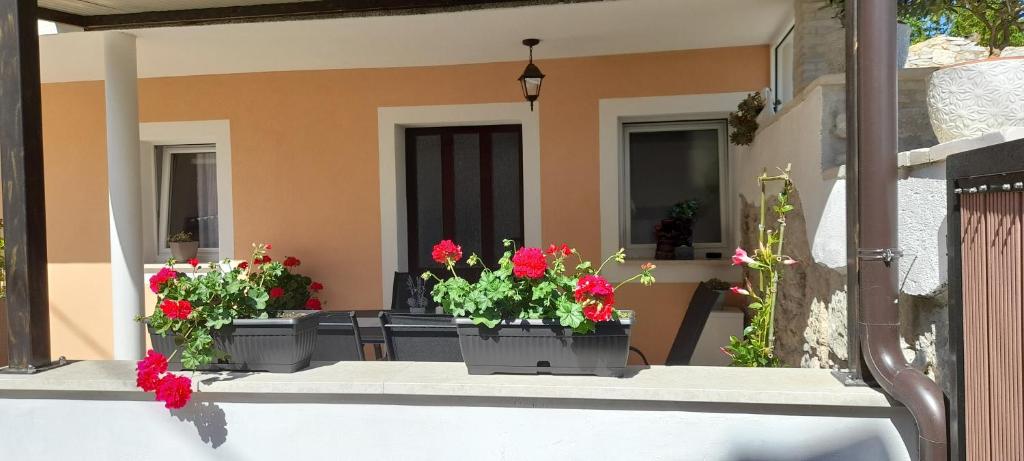 two potted flowers on a balcony with a house at Casa Šimeti in Poreč
