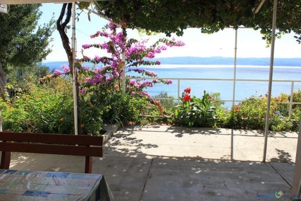 Príroda v okolí apartmánu