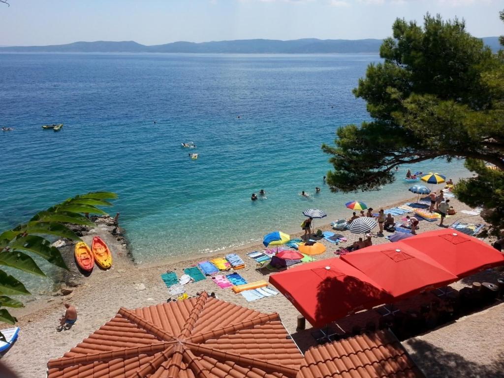 Príroda v okolí apartmánu