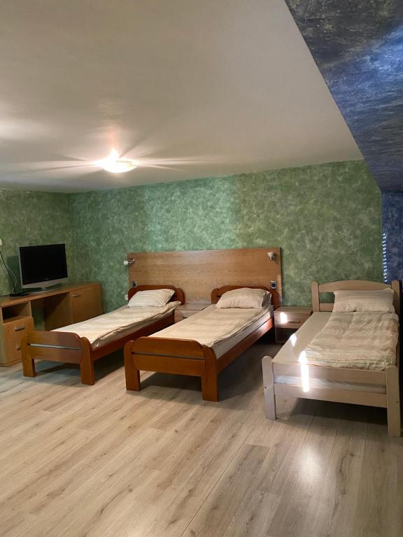 a room with two beds and a tv in it at Apartments & Camp Stanišić in Nikšić