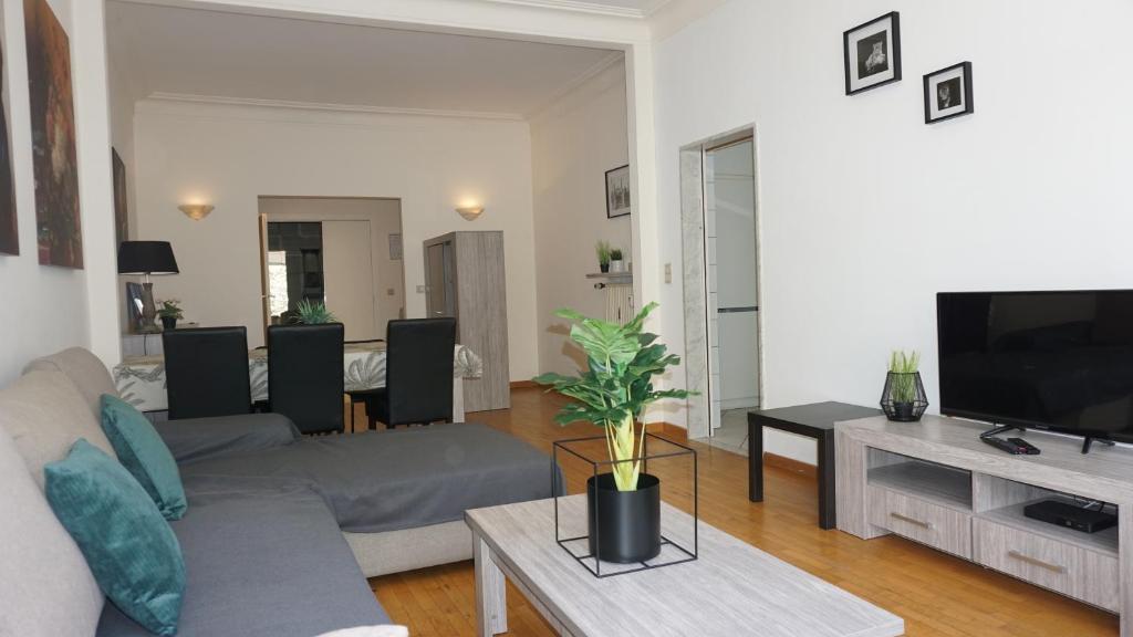 a living room with a couch and a tv at Belga Apartment 3 bedrooms. in Antwerp