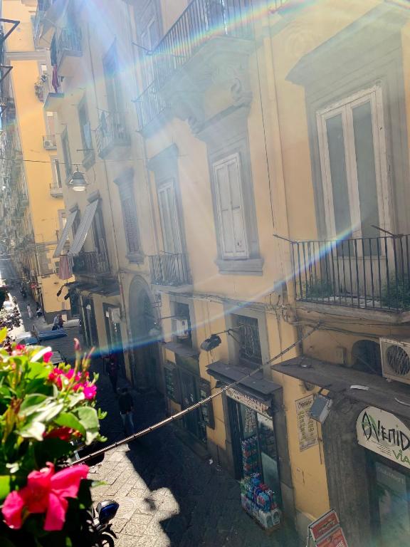 Toledo Boutique Rooms - 13