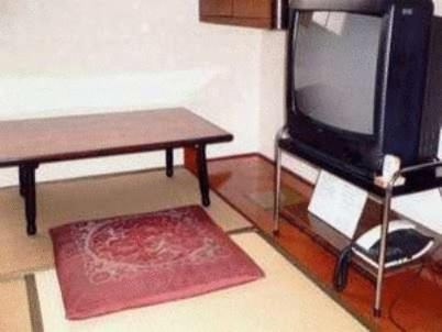 TV a/nebo společenská místnost v ubytování Tenryu Ryokan