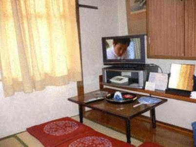 TV a/nebo společenská místnost v ubytování Tenryu Ryokan