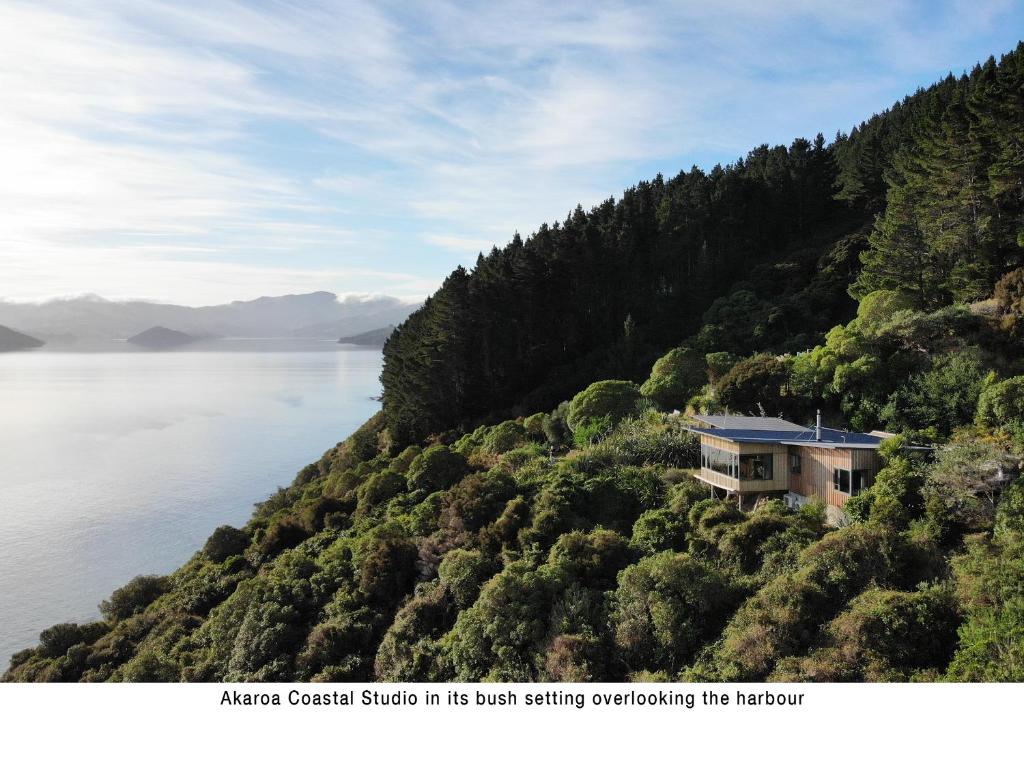 une maison sur une colline à côté d'une masse d'eau dans l'établissement Akaroa Coastal Studio, à Akaroa