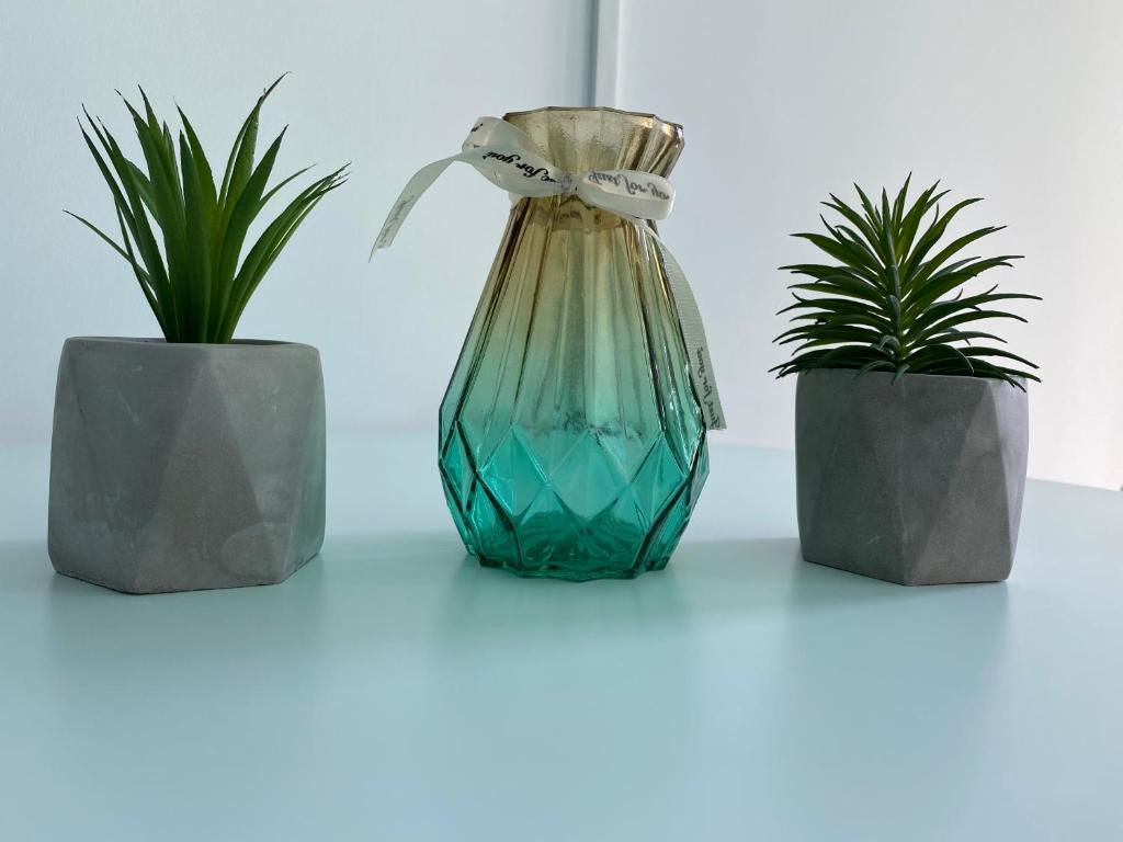 three potted plants on a table with a vase at Ela's Apartment in Mamaia Sat/Năvodari