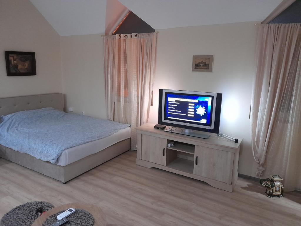 a bedroom with a bed and a television on a table at Wanted Šabac apartman in Šabac