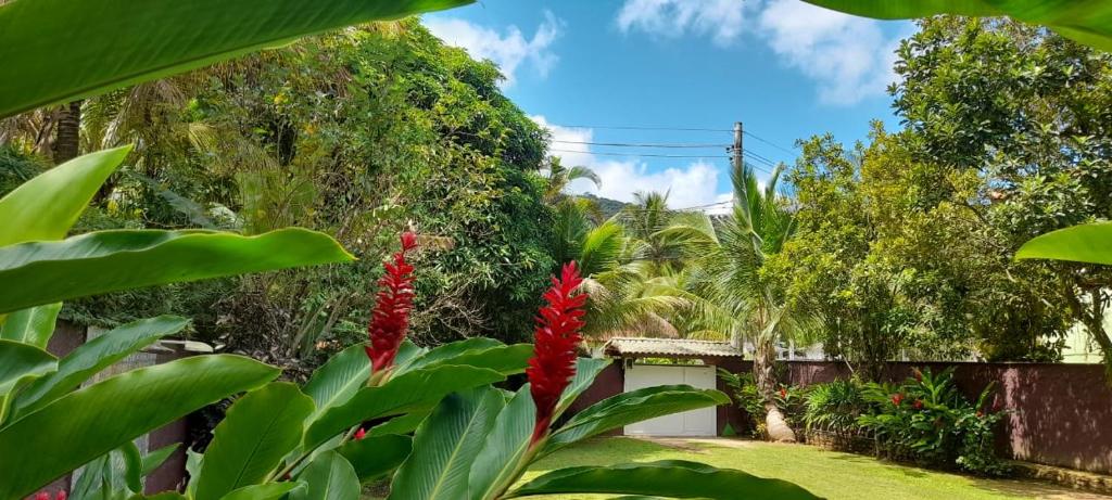  CASA NA PRAIA EM MARESIAS