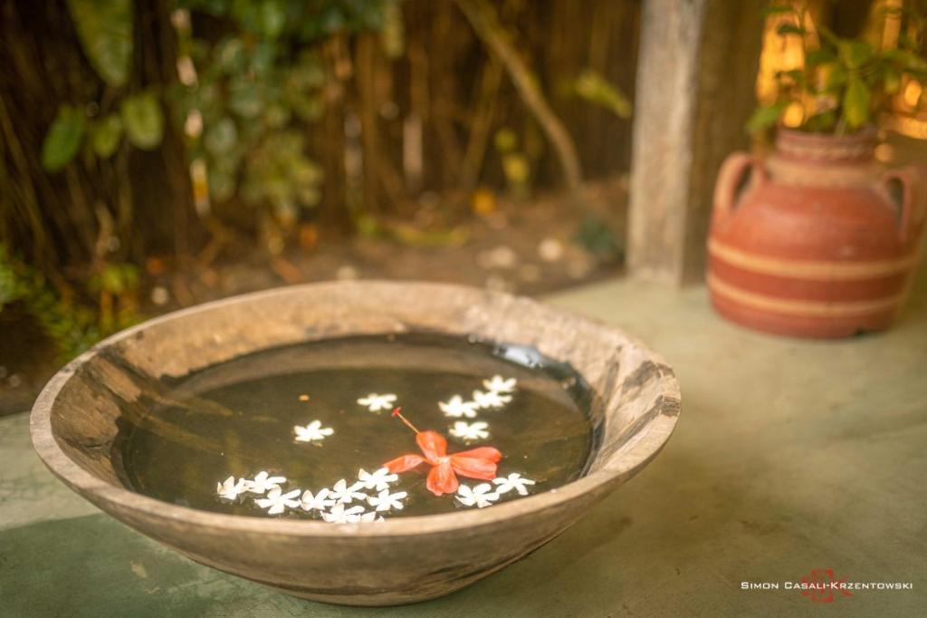  Pousada Spa Oasis