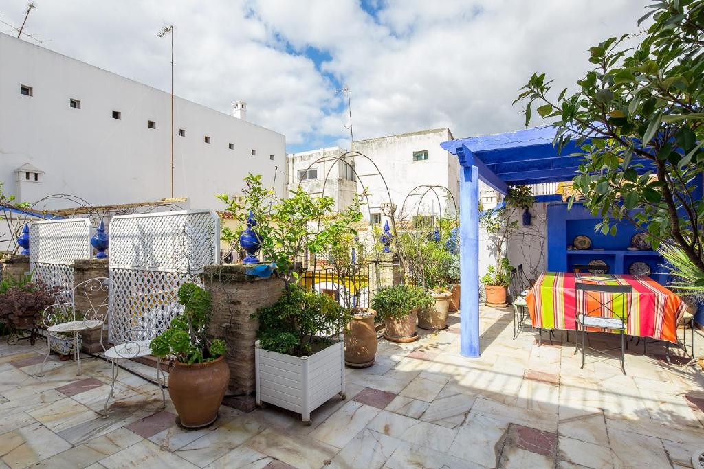 Zahrada ubytování Veoapartment Alfalfa Terraza