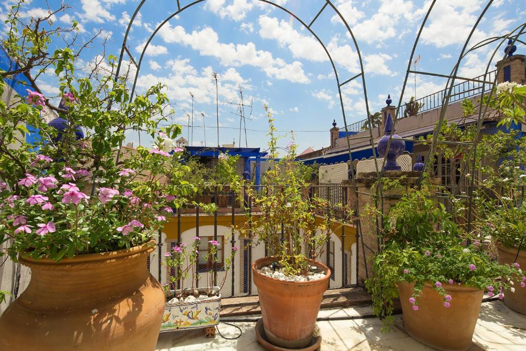 Zahrada ubytování Veoapartment Alfalfa Terraza