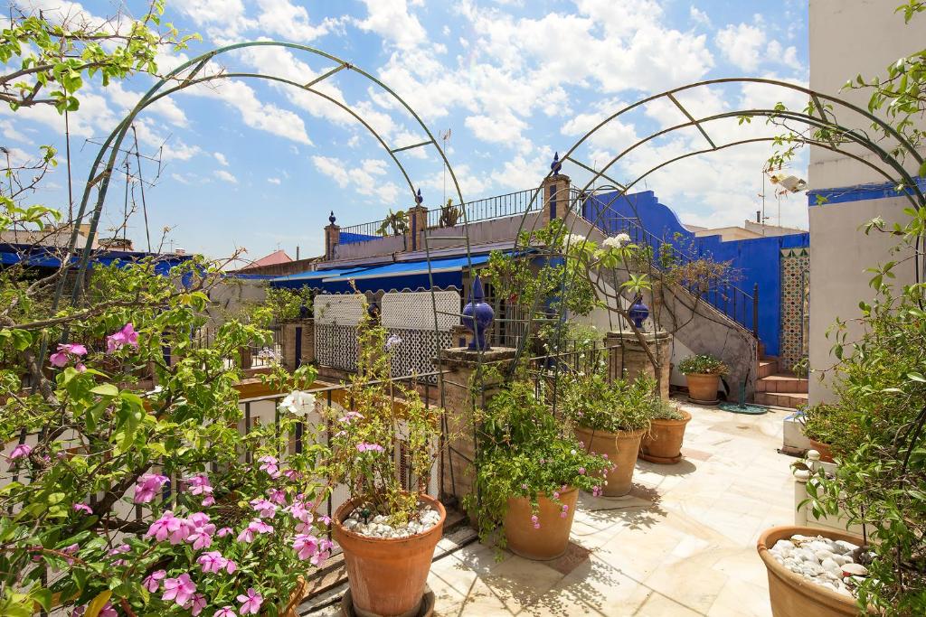Zahrada ubytování Veoapartment Alfalfa Terraza