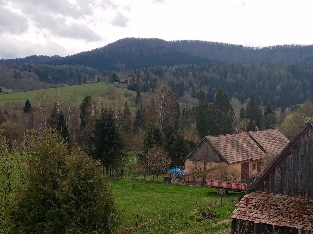 Príroda v okolí farmy